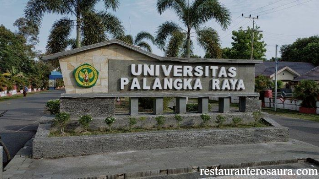 4 Rekomendasi Universitas di Palangkaraya