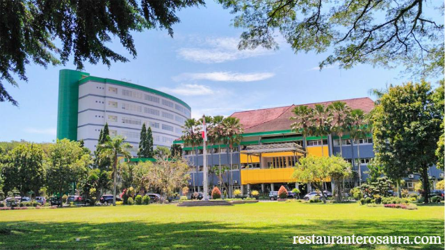 5 Alasan Kuliah di Universitas Negeri Jember