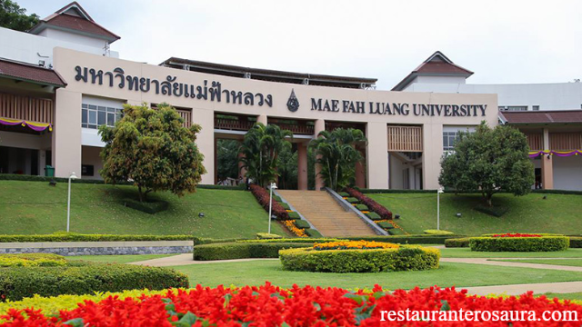 Beberapa Rekomendasi Universitas Terbaik di Thailand